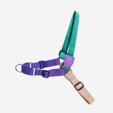 Zee.dog Boogie Soft-Walk Harness