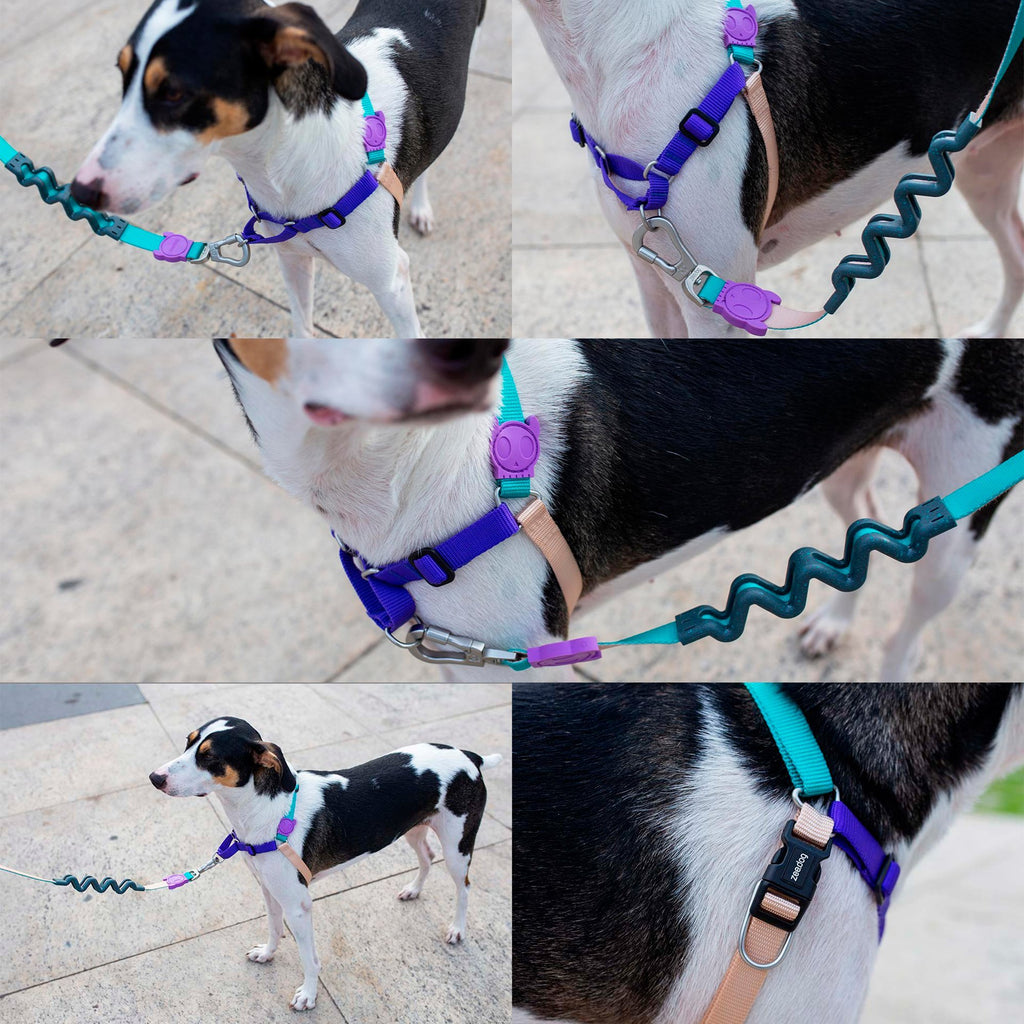 Zeedog Boogie Soft-Walk Harness - Pet Fashion
