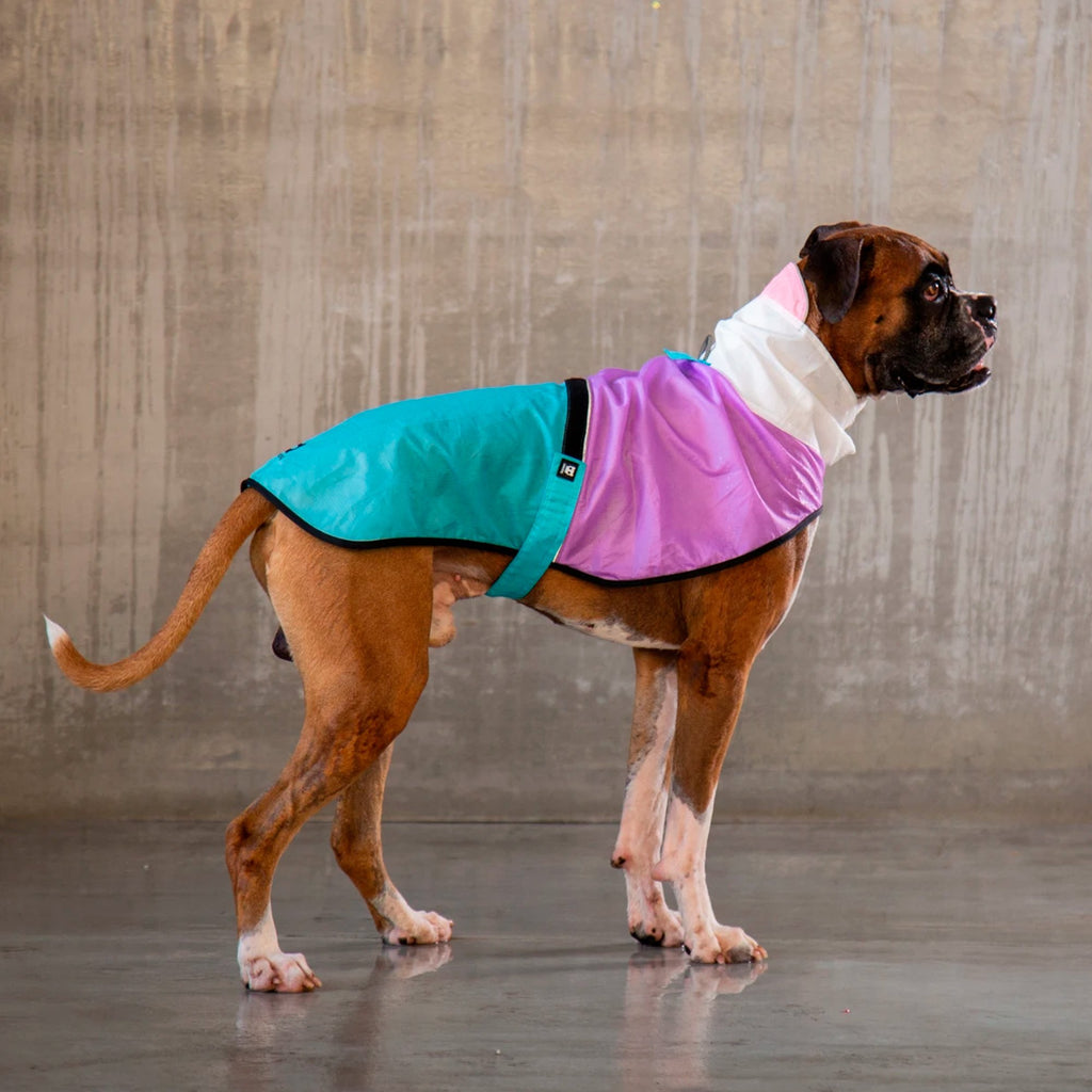 ZEE.DOG CASACA IMPERMEABLE BEL AIR - Pet Fashion