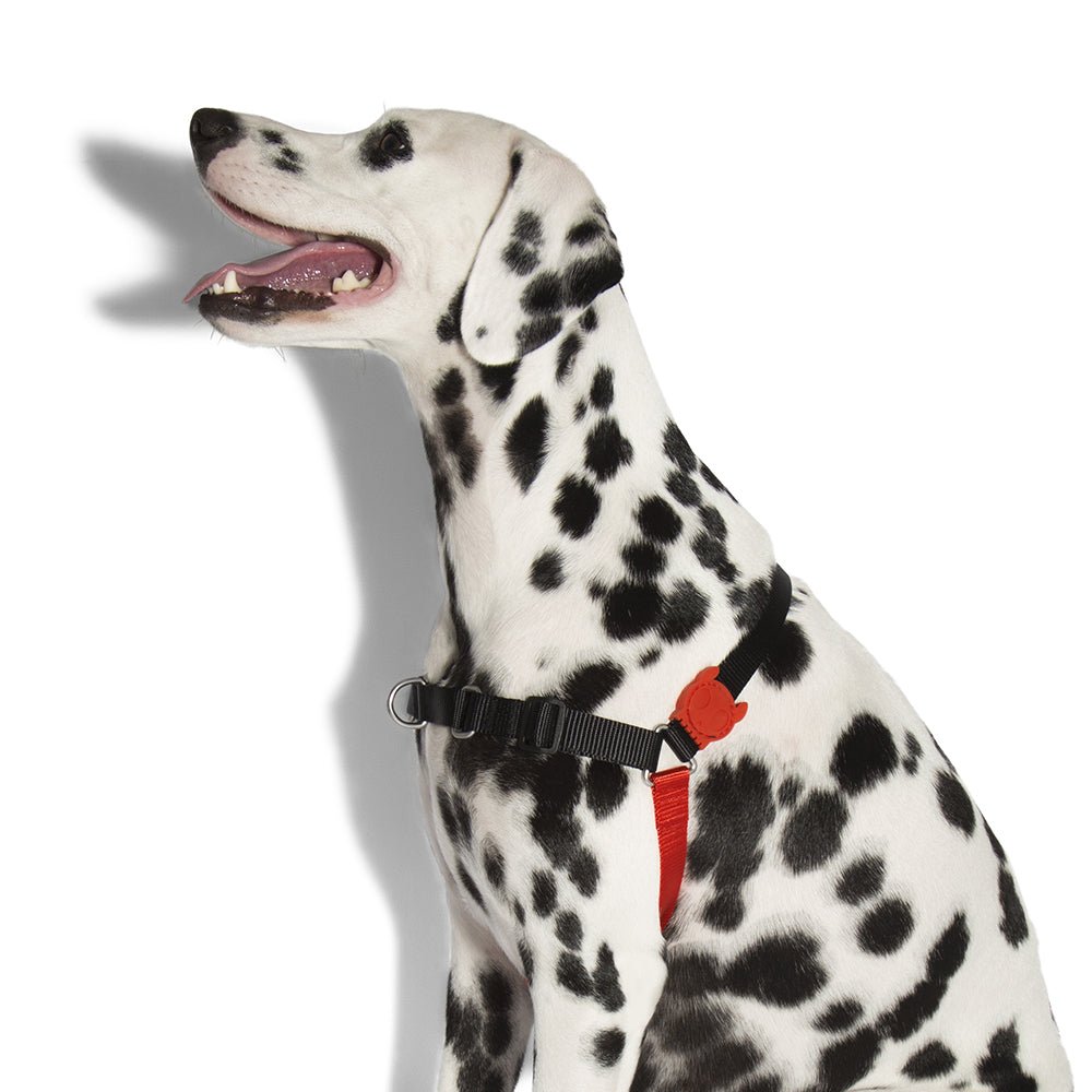Zee.dog Fatboy Soft-Walk Harness - Pet Fashion