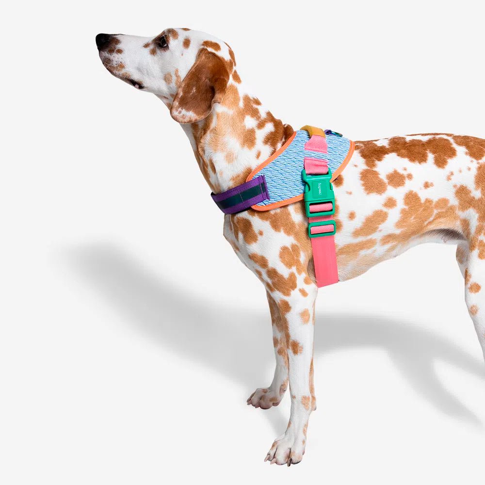 Zee.dog Galaxy FlyHarness Pechera - Pet Fashion