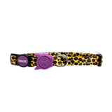 Zee.dog Honey collar para gato