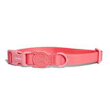 Zee.dog Neopro Bubblegum Collar ultra resistente al agua y a la intemperie