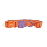 Zee.dog Neopro Iris Collar ultra resistente al agua y a la intemperie