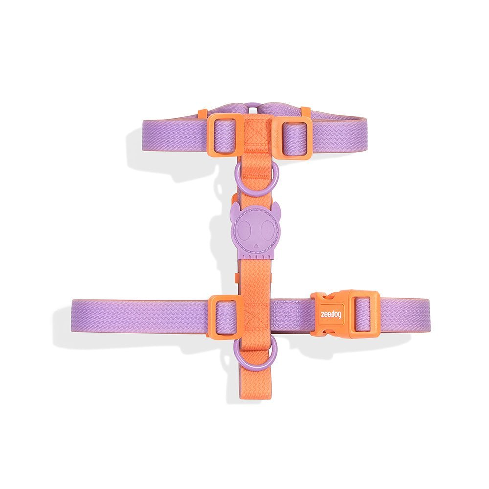 Zee.dog Neopro Iris H-Harness ultra resistente al agua y a la intemperie - Pet Fashion