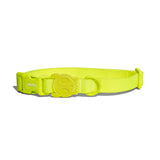 Zee.dog Neopro Lime Collar ultra resistente al agua y a la intemperie