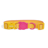Zee.dog Neopro Lyra Collar ultra resistente al agua y a la intemperie