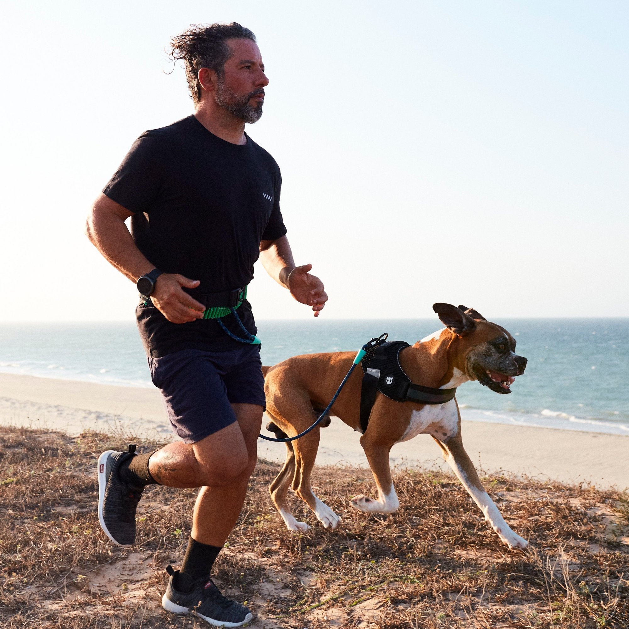 Cinturón/Riñonera Running Belt Zee Dog - Pet Point
